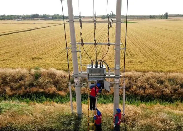 配電箱助力“電力?！报D農(nóng)民有了“電力?！碑a(chǎn)業(yè)發(fā)展質(zhì)效